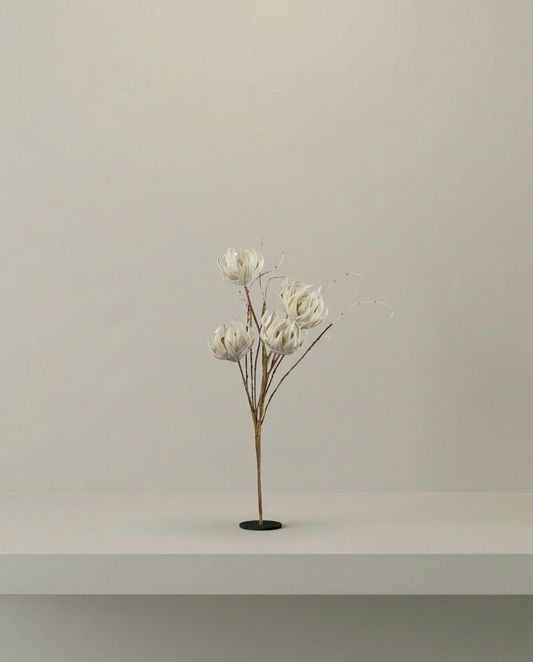 Dried Bloom Stem, front view on neutral background