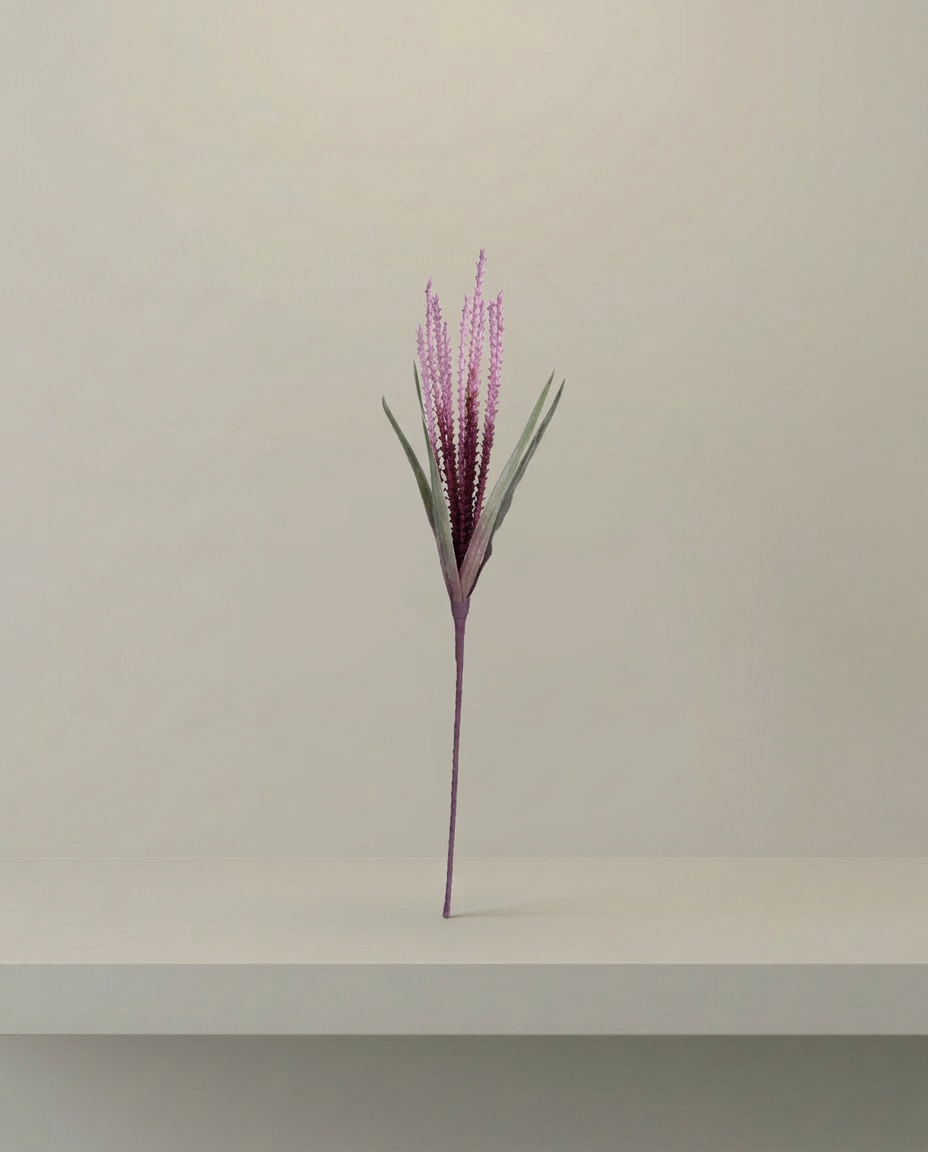 Dried Grass Stem, front view on neutral background