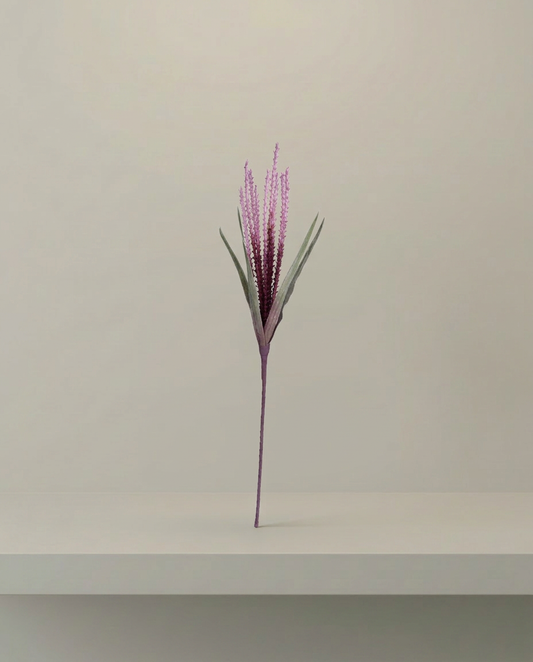Dried Grass Stem, front view on neutral background