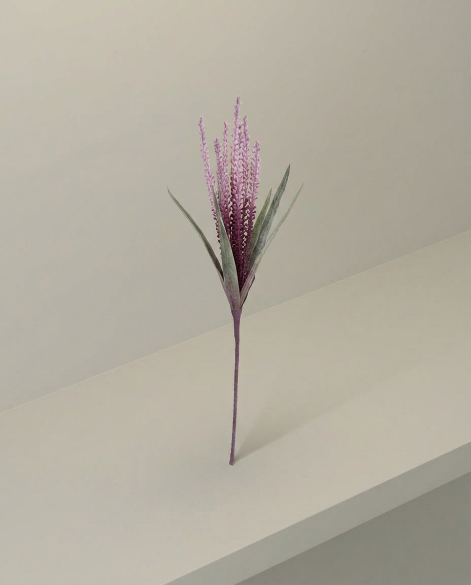 Dried Grass Stem, elevated angle view